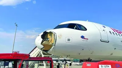 اخبار اليمن الان طائر يتسبب تلف طائرة اخبار اليمن الان الحدث اليوم عاجل