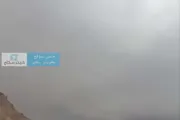 كريتر إسكاي اخبار اليمن الان عاصفة عنيفة وأمطار الأشجار المنطقة اخبار اليمن الان الحدث اليوم عاجل كريتر إسكاي