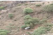اخبار اليمن الان الحدث اليوم عاجل صدى الساحل