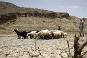 عدن تايم اخبار اليمن الان تحذير أممي موسم جفاف اليمن اخبار اليمن الان الحدث اليوم عاجل عدن تايم