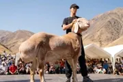 صحيفة المرصد اخبار اليمن الان أراشان بمليون أسواق آسيا الوسطى اخبار اليمن الان الحدث اليوم عاجل صحيفة المرصد