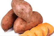 اخبار اليمن الان الحدث اليوم عاجل عدن تايم