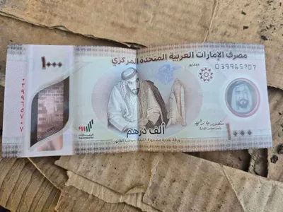 اخبار اليمن الان الحدث اليوم عاجل كريتر إسكاي