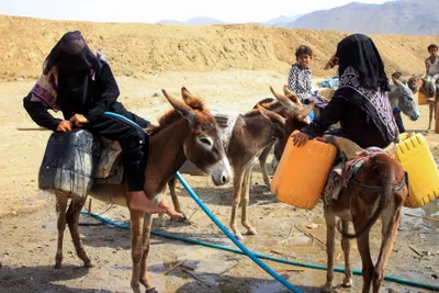 اخبار اليمن الان الحدث اليوم عاجل 