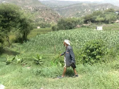 اخبار اليمن الان الحدث اليوم عاجل 