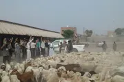 صحيفة الثورة صنعاء اخبار اليمن الان محافظة الحديدة للمرابطين الساحل الغربي اخبار اليمن الان الحدث اليوم عاجل صحيفة الثورة صنعاء