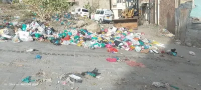 اخبار اليمن الان بالصور حملة صباحية لرفع النفايات اخبار اليمن الان الحدث اليوم عاجل