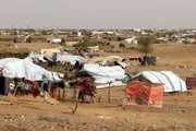صدى الساحل اخبار اليمن الان شخصين بينهما وإصابة بإنفجار للنازحين اخبار اليمن الان الحدث اليوم عاجل صدى الساحل