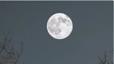 اخبار اليمن الان البدر الأخير 1447هـ الحدود الشمالية اخبار اليمن الان الحدث اليوم عاجل