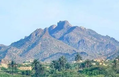 اخبار اليمن الان الصبيحة مناشدة لتحريك الجبهات الحوثيين اخبار اليمن الان الحدث اليوم عاجل