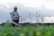 عرب تايم اخبار اليمن الان اخبار وتقارير مبادرة لتعزيز الغذائي اخبار اليمن الان الحدث اليوم عاجل عرب تايم