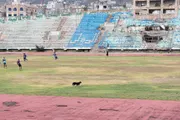 اخبار اليمن الان الحدث اليوم عاجل كريتر إسكاي