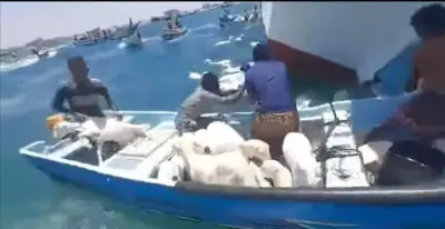 اخبار اليمن الان سفينة محملة بأكثر قبالة سواحل اخبار اليمن الان الحدث اليوم عاجل
