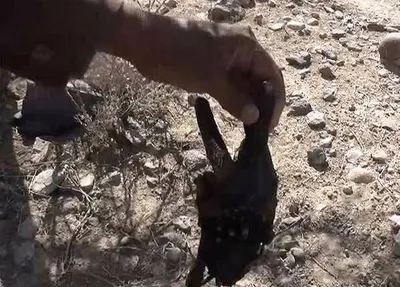 اخبار اليمن الان حقوقي الستار للجرائم المرتكبة اليمني اخبار اليمن الان الحدث اليوم عاجل