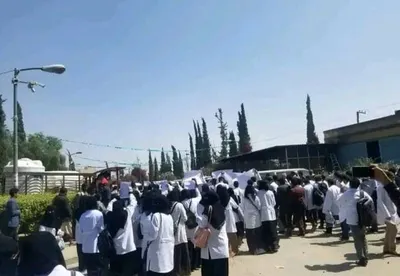 اخبار اليمن الان ينظمون احتجاجية للتنديد باغتيال السامعي اخبار اليمن الان الحدث اليوم عاجل