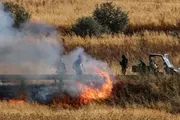 صحيفة الثورة صنعاء اخبار اليمن الان مستوطنون صهاينة يحرقون أراضي زراعية اخبار اليمن الان الحدث اليوم عاجل صحيفة الثورة صنعاء
