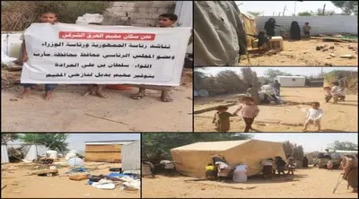 اخبار اليمن الان جريمة إنسانية اليمنية بالقوة السلطات اخبار اليمن الان الحدث اليوم عاجل