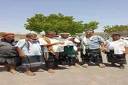 عرب تايم اخبار اليمن الان وتقارير بتكليف الملاح لتسليم للمقاولين اخبار اليمن الان الحدث اليوم عاجل عرب تايم