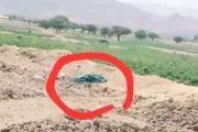 اخبار اليمن الان الحدث اليوم عاجل الصحوة نت