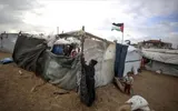 الموقع بوست اخبار اليمن الان رفضها تهجير الفلسطينيين وتحذر تداعياته اخبار اليمن الان الحدث اليوم عاجل الموقع بوست