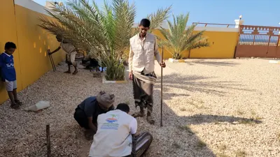 اخبار اليمن الان الحدث اليوم عاجل 