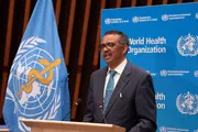 وكالة الصحافة اليمنية اخبار اليمن الان الصحة العالمية كارثية لاستهداف النووية اخبار اليمن الان الحدث اليوم عاجل وكالة الصحافة اليمنية