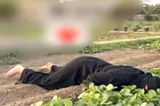 صحيفة المرصد اخبار اليمن الان جريمة بشعة بحياة امرأة محافظة اخبار اليمن الان الحدث اليوم عاجل صحيفة المرصد