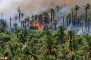 السلام نيوز اخبار اليمن الان مغربية مكثفة للسيطرة واحات قياسية اخبار اليمن الان الحدث اليوم عاجل السلام نيوز