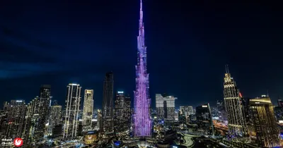 اخبار اليمن الان الكواليس الغراء الفائق الرئيس البيضاوي اخبار اليمن الان الحدث اليوم عاجل