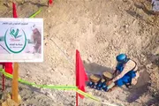أحداث العالم اخبار اليمن الان مسام الألغام والمخلفات الحربية المكلا اخبار اليمن الان الحدث اليوم عاجل أحداث العالم