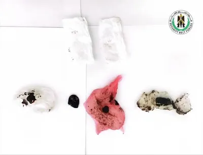 اخبار اليمن الان القبض شخصين بتهمة الحشيش المخدر اخبار اليمن الان الحدث اليوم عاجل