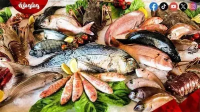 اخبار اليمن الان أسعار الأسماك مصر الجمعة 2025 اخبار اليمن الان الحدث اليوم عاجل