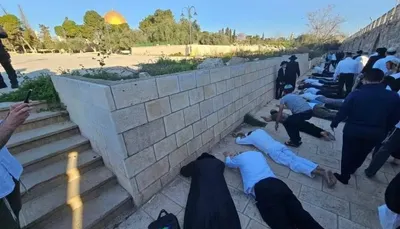 اخبار اليمن الان منظمات الهيكل تستعد لاقتحام للأقصى اخبار اليمن الان الحدث اليوم عاجل