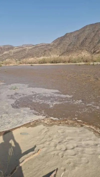 اخبار اليمن الان تدفق سيل بيحان الجمعة صورة اخبار اليمن الان الحدث اليوم عاجل
