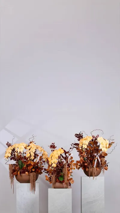 اخبار اليمن الان flower society تستقبل الخريف مستوحاة اخبار اليمن الان الحدث اليوم عاجل