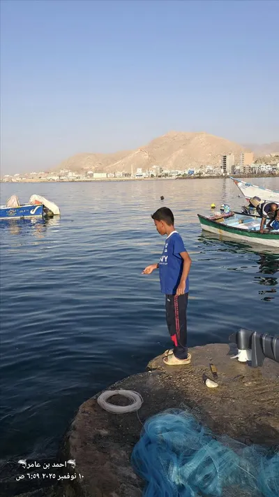 اخبار اليمن الان المكلا يتحول ويصطاد غنيمته الجميع اخبار اليمن الان الحدث اليوم عاجل