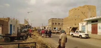 اخبار اليمن الان مواطنو مديرية يطالبون لمكافحة البعوض اخبار اليمن الان الحدث اليوم عاجل