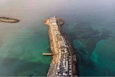 اخبار اليمن الان طارق صالح يوجه بإنشاء بالخوخة اخبار اليمن الان الحدث اليوم عاجل