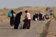 كريتر إسكاي اخبار اليمن الان إطلاق إنسانية لمساندة الأسر النازحة اخبار اليمن الان الحدث اليوم عاجل كريتر إسكاي