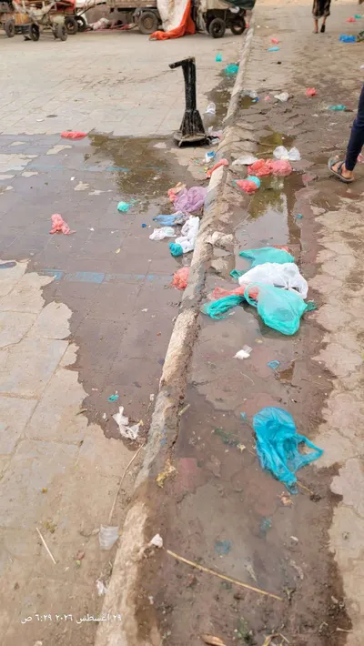 اخبار اليمن الان مطالبة بصيانة الأمر السمك المنصورة اخبار اليمن الان الحدث اليوم عاجل