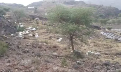 اخبار اليمن الان الحدث اليوم عاجل 
