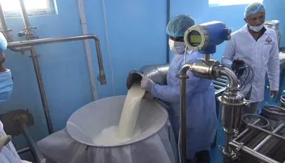 اخبار اليمن الان الحديدة تشكيل لمتابعة استراتيجية الألبان اخبار اليمن الان الحدث اليوم عاجل