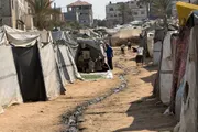 السلام نيوز اخبار اليمن الان الخوف والترقب النازحون الانتخابات الإسرائيلية اخبار اليمن الان الحدث اليوم عاجل السلام نيوز