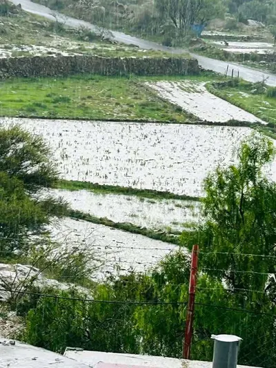 اخبار اليمن الان هطول أمطار غزيرة الضالع اخبار اليمن الان الحدث اليوم عاجل