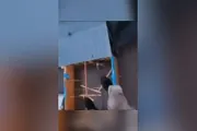 اخبار اليمن الان الحدث اليوم عاجل السلام نيوز