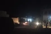 الميثاق نيوز اخبار اليمن الان حيوان مفترس مصابا ويثير حضرموت اخبار اليمن الان الحدث اليوم عاجل الميثاق نيوز