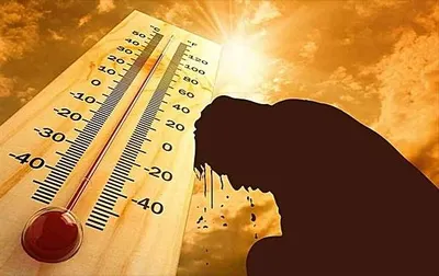 اخبار اليمن الان رياح جافة وحارة تضرب الأثناء اخبار اليمن الان الحدث اليوم عاجل