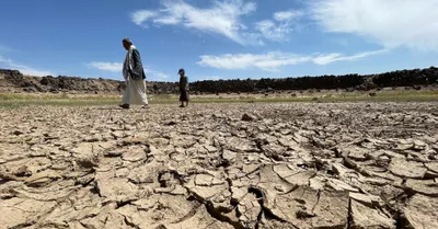 اخبار اليمن الان اليمن التصحر الأراضي الزراعية الغذائي اخبار اليمن الان الحدث اليوم عاجل