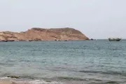 كريتر إسكاي اخبار اليمن الان الكشف أسماء شهداء الصبيحة المندب اخبار اليمن الان الحدث اليوم عاجل كريتر إسكاي