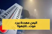 يمن برس اخبار اليمن الان قطبية والأرصاد الصقيع الأرواح والمزروعات اخبار اليمن الان الحدث اليوم عاجل يمن برس